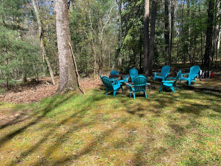 Cabin Fever On Cartecay River Ellijay Exterior photo