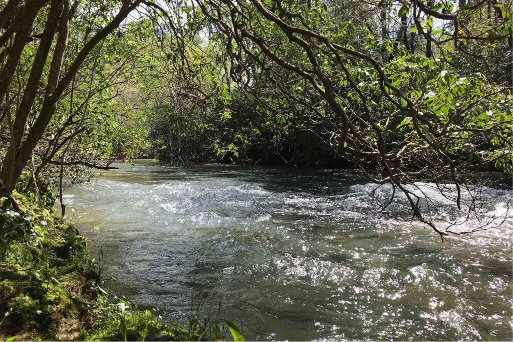 Cabin Fever On Cartecay River Ellijay Exterior photo